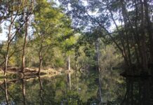 Can a People’s Biodiversity Register Contribute to Conservation?