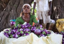 How Standardizing Quality Control Can Improve Trust in eNAM