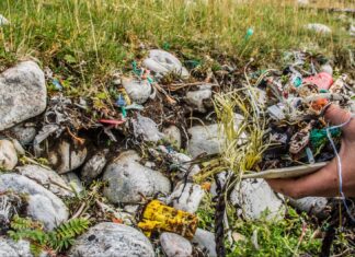 Trailing A Path of Non-Anthropogenic Jurisprudence Amidst the Climate Crisis