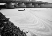 Caught in the Tangles of Court Orders and ‘Development’, the Yamuna Remains As Polluted As Ever