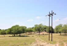 In Rajasthan, a Public Land Protection Cell is Removing Encroachments, But Challenges Abound