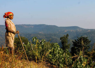 Tragedy of the Commons: How a Flawed and Racist Metaphor Continues to Dominate Environmental Thinking