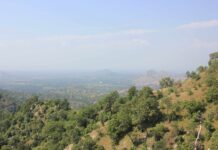 Caste, Class, and Awareness—Makers and Breakers of Common Land Dispute Resolution in Rajasthan